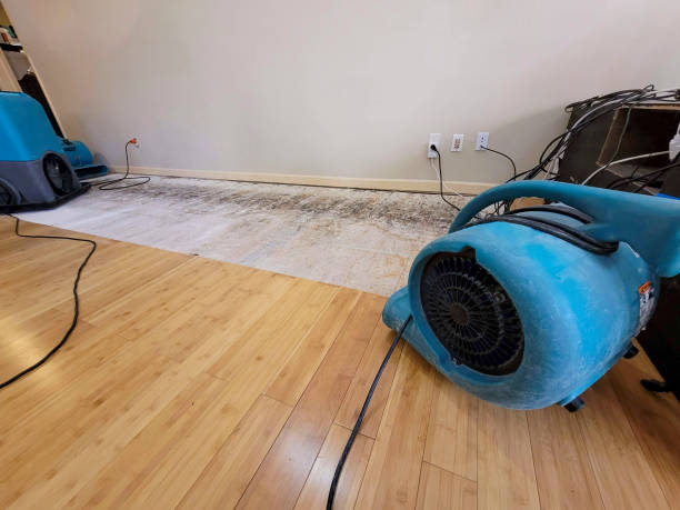 Professional Water Extraction technician working in Taft, CA